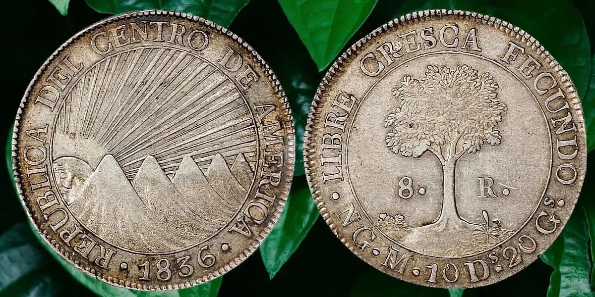 消滅した国家が遺した8レアル銀貨：1824年中米共和国銀貨が物語る「銀の永遠性」