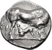 Stater - Carystus