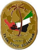Challenge Coin - Task Unit Fujairah - United Arab Emirates