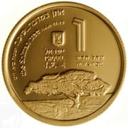 1 New Sheqel 1 ILS = JPY 51