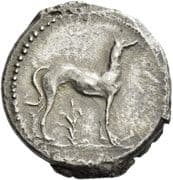 Didrachm - Motya