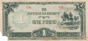 1 Pound