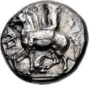 Tetradrachm - Potidaia