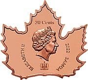 20 Cents