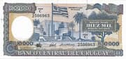 10 000 Nuevos Pesos