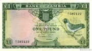 1 Pound