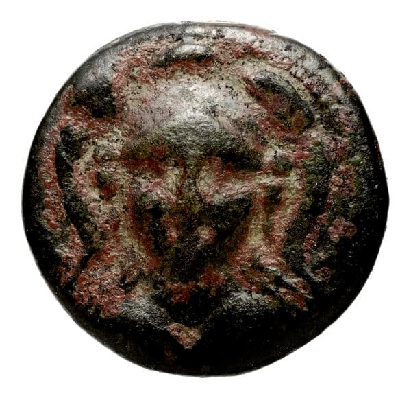 Seleucid Coins (part 1) 314
