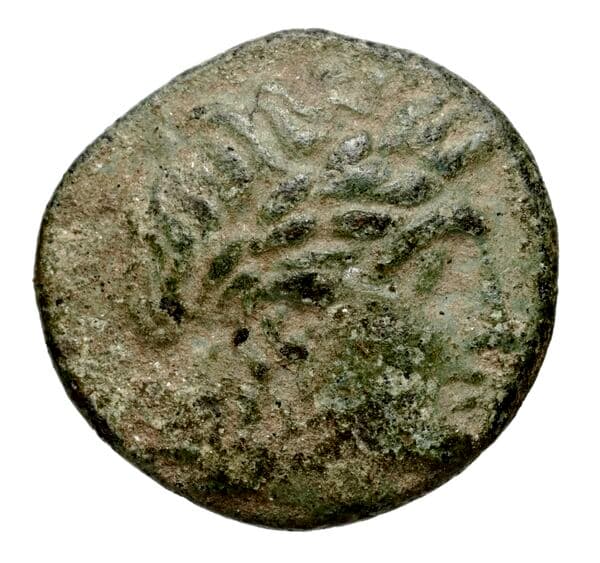 Seleucid Coins (part 1) 522.2