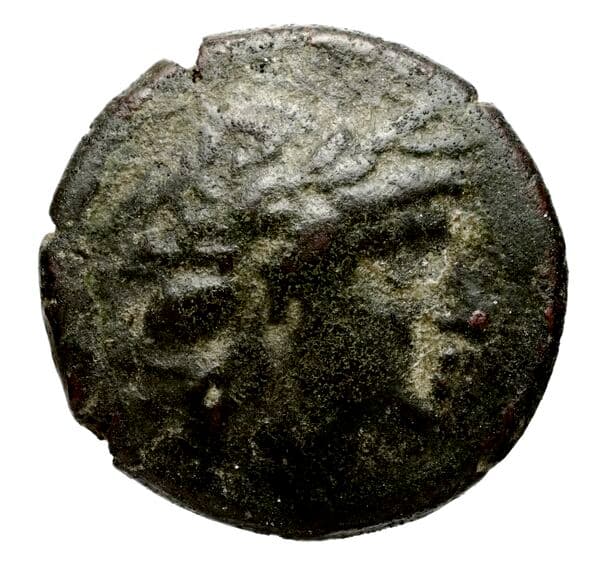 Seleucid Coins (part 1) 527.2a