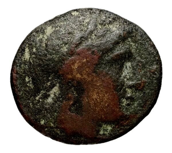 Seleucid Coins (part 1) 520.4