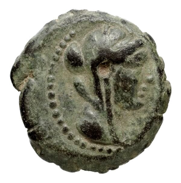 Seleucid Coins (part 2) 1318.4