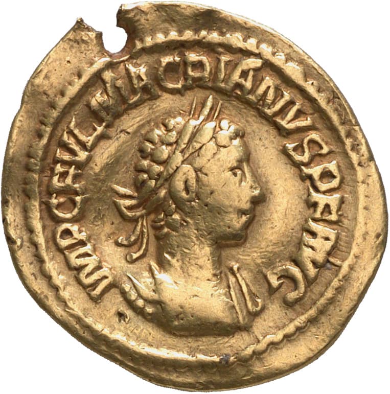 Aureus