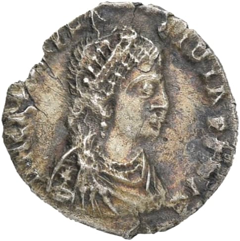 Half siliqua