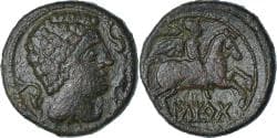 Coin, Iberia - Iltirta, As, 1st century BC, Lerida, , Bronze