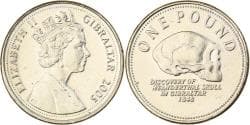 Gibraltar, Elizabeth II, Pound, 2005, Nickel-brass, , KM:1091