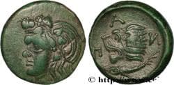TAURIC CHERSONESE - PANTICAPEUM Panticapée, Chersonèse Taurique c. 310 - 304/303AC. (21mm, 6,69g, 12h)