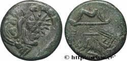 TAURIC CHERSONESE - PANTICAPEUM Panticapée, Chersonèse Taurique c. 340-325 AC. (21mm, 5,96g, 6h)