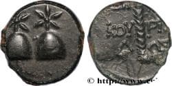 COLCHIS - DIOSKOUROS Dioscuras, Colchide c. 105-90 AC. (17mm, 4,62g, 12h)