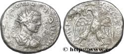 DIADUMENIAN Cyrrhus, Syrie, Cyrrhestica 217-218 (23mm, 11,27g, 12h)