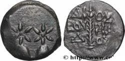 COLCHIS - DIOSKOUROS Dioscuras, Colchide c. 105-90 AC. (14,5mm, 2,37g, 12h)