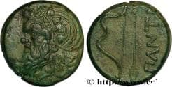 TAURIC CHERSONESE - PANTICAPEUM Panticapée, Chersonèse Taurique c. 340-325 AC. (25mm, 13,86g, 3h)