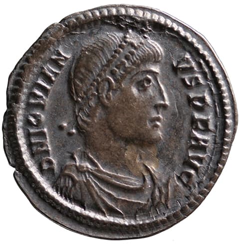 Reduced siliqua